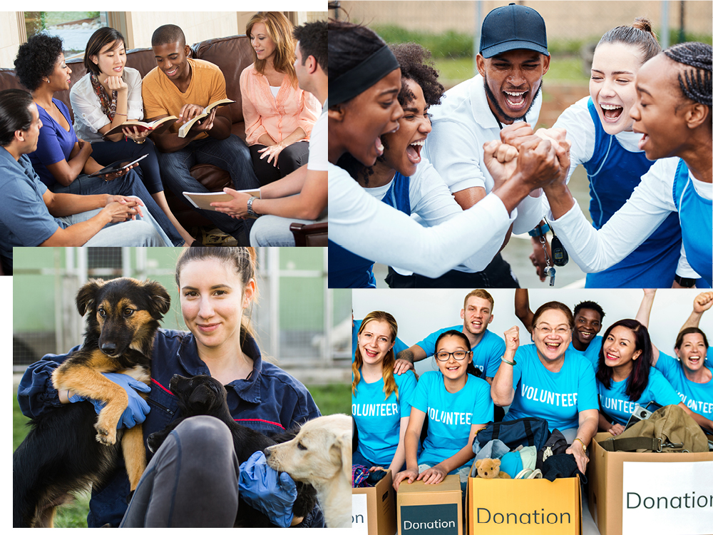 BetterWorldGraphic-1